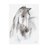 Trademark Fine Art Ethan Harper 'Watercolor Equine Study I' Canvas Art, 35x47 WAG15796-C3547GG